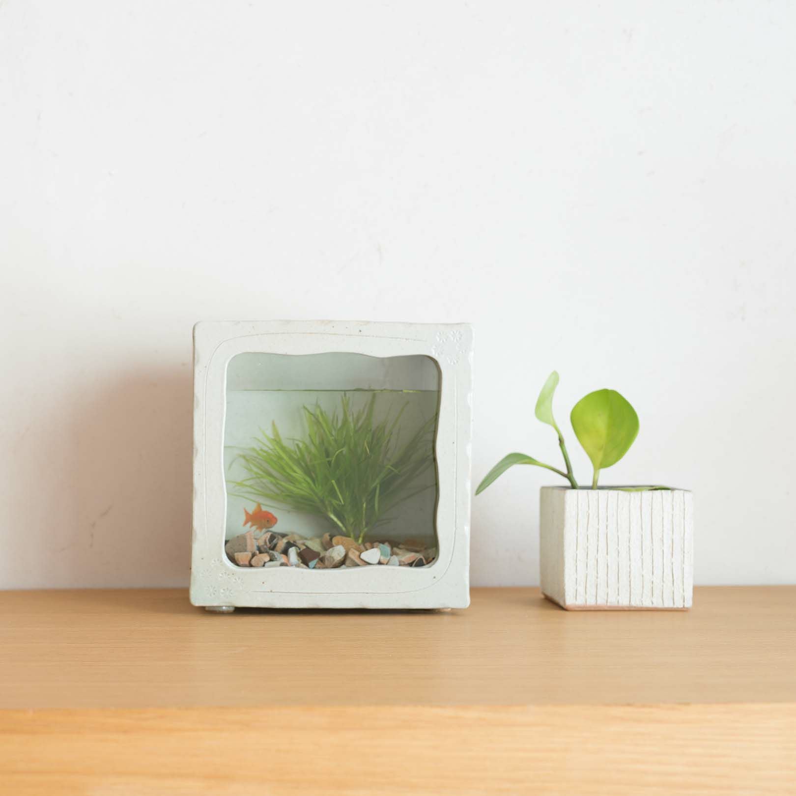 角水槽・中（白釉） | 明山 オンラインショップ