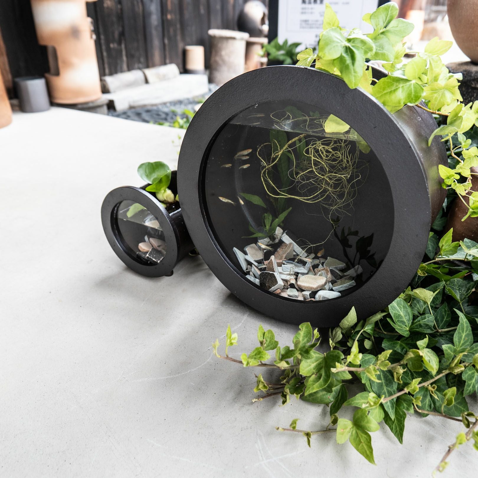 丸水槽・大（黒） | 明山 オンラインショップ