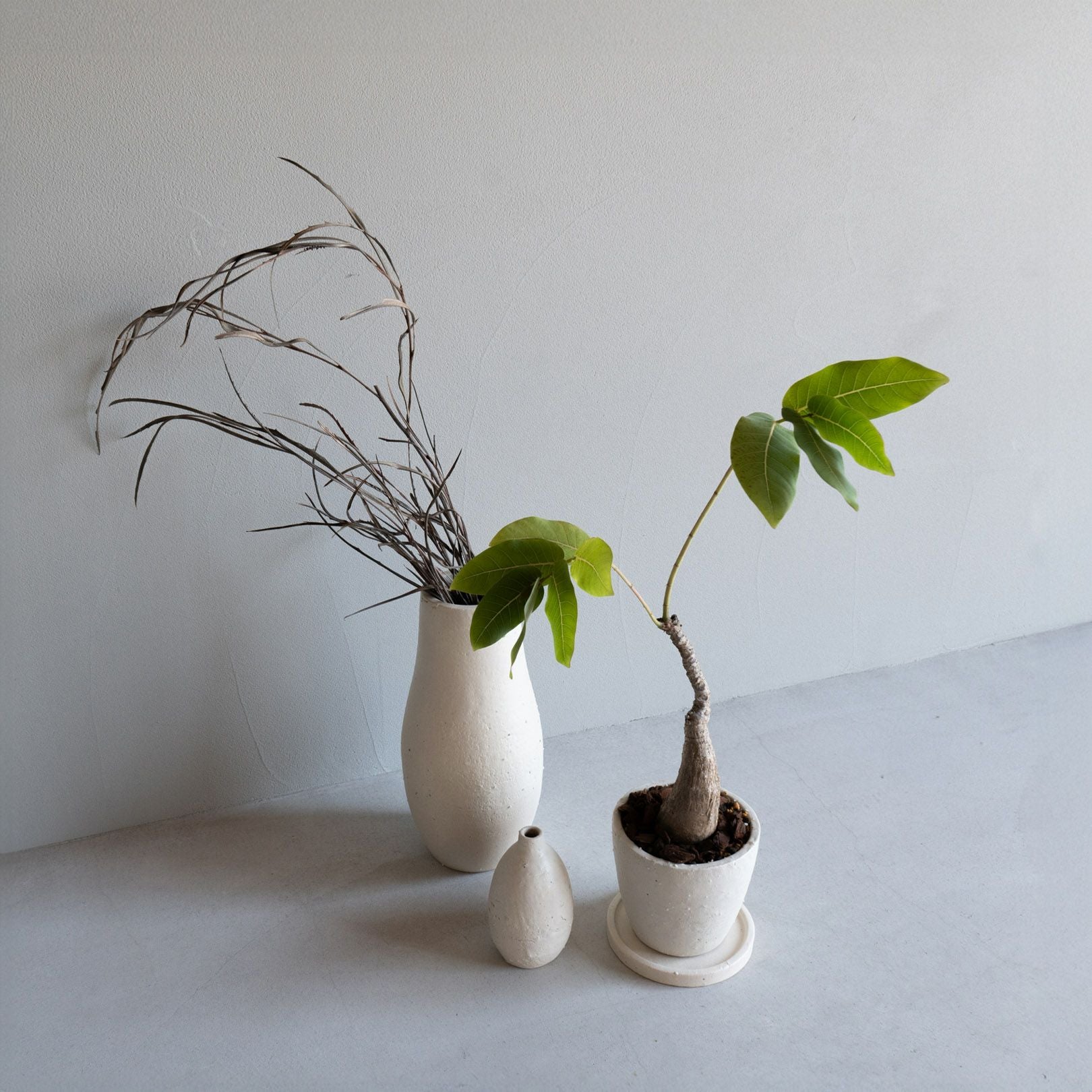 【新品】大鉢 植木鉢 作家鉢 陶器 貫入 ホワイト 植木鉢4号白 | 明山 オンラインショップ